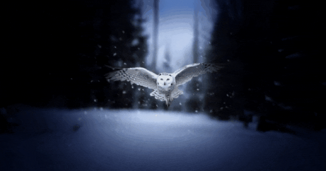 Midjourney 5.2震撼发布!原画生成3D场景,无限缩放无垠宇宙