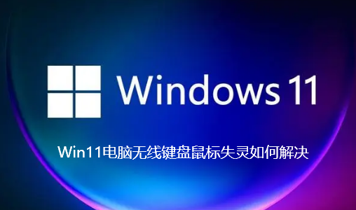 Win11电脑无线键盘鼠标失灵如何解决