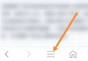 私密浏览器怎么自动播放视频