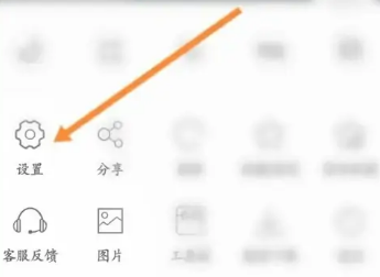 私密浏览器怎么自动播放视频