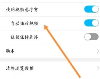 私密浏览器怎么自动播放视频