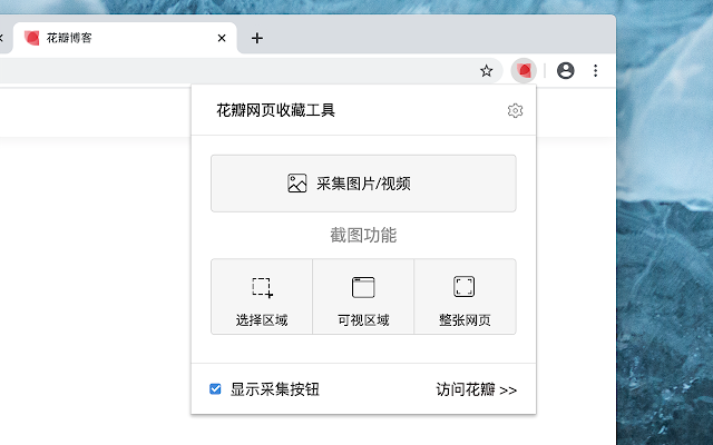 花瓣浏览器怎么进行应用服务设置