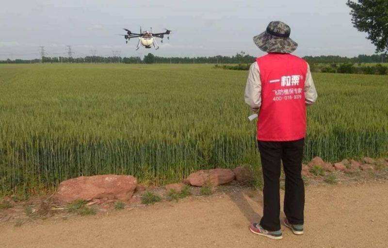 “滴滴打无人机”听过吗？农民能一键呼叫“飞手”来帮喷药