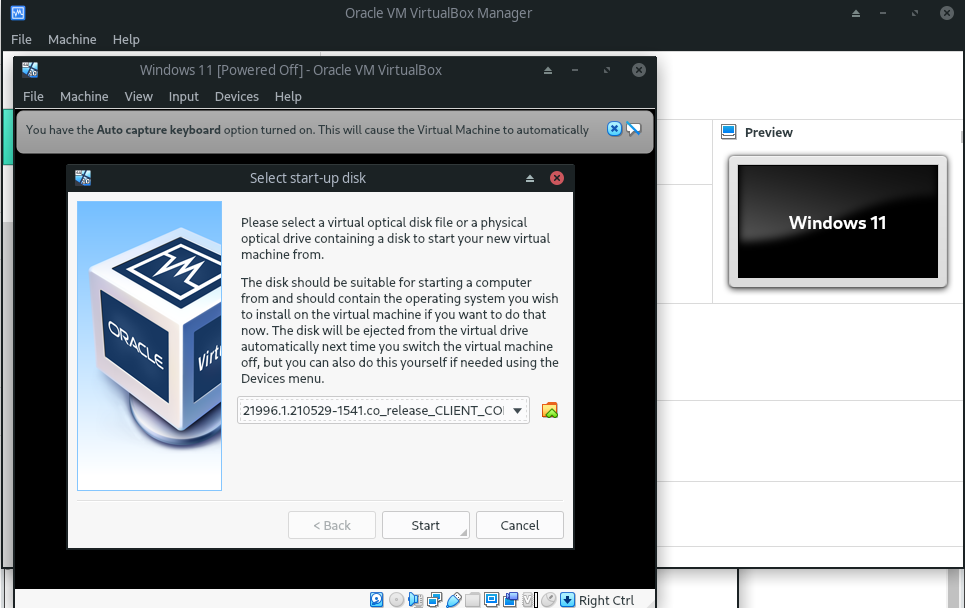 虚拟机如何安装Win11