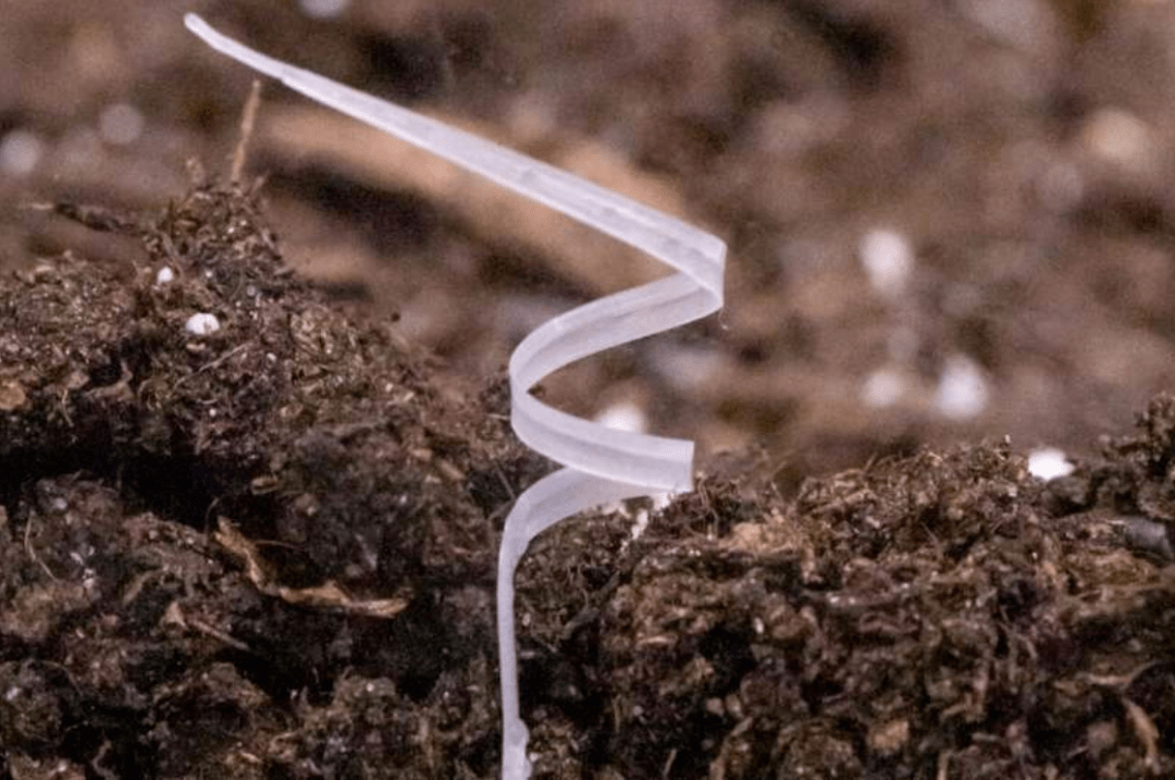 最新5款农业机器人,各个长相奇特,网友:脑洞一下打开了