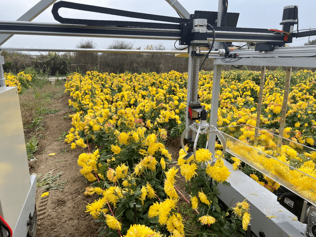 最新5款农业机器人,各个长相奇特,网友:脑洞一下打开了