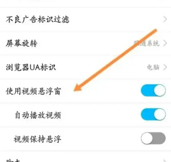 私密浏览器怎么开启视频悬浮窗
