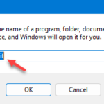 修复：Windows 更新可能已自动替换 AMD