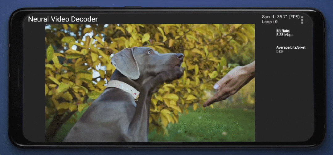 安卓手机上跑15亿参数大模型，12秒不到就推理完了