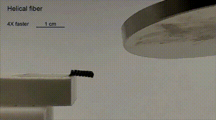 ​一次可造1000多个机器人！MIT赵选贺团队创新设计解决业界多年难题