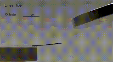 ​一次可造1000多个机器人！MIT赵选贺团队创新设计解决业界多年难题