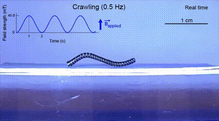 ​一次可造1000多个机器人！MIT赵选贺团队创新设计解决业界多年难题