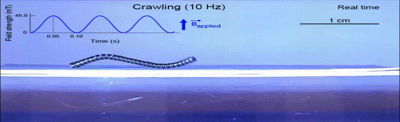 ​一次可造1000多个机器人！MIT赵选贺团队创新设计解决业界多年难题