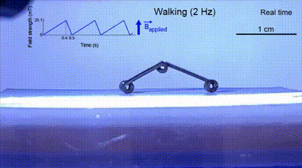 ​一次可造1000多个机器人！MIT赵选贺团队创新设计解决业界多年难题