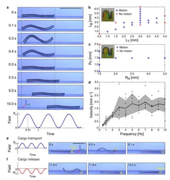 ​一次可造1000多个机器人！MIT赵选贺团队创新设计解决业界多年难题