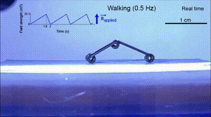 ​一次可造1000多个机器人！MIT赵选贺团队创新设计解决业界多年难题