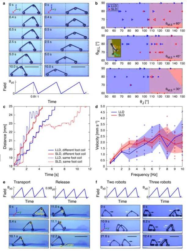 ​一次可造1000多个机器人！MIT赵选贺团队创新设计解决业界多年难题