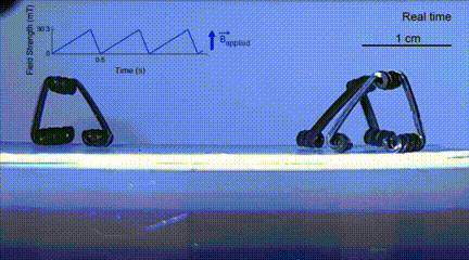 ​一次可造1000多个机器人！MIT赵选贺团队创新设计解决业界多年难题