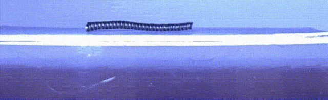 ​一次可造1000多个机器人！MIT赵选贺团队创新设计解决业界多年难题