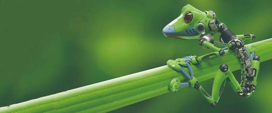 生命无限可能：活细胞在变身机器人中的神奇演化