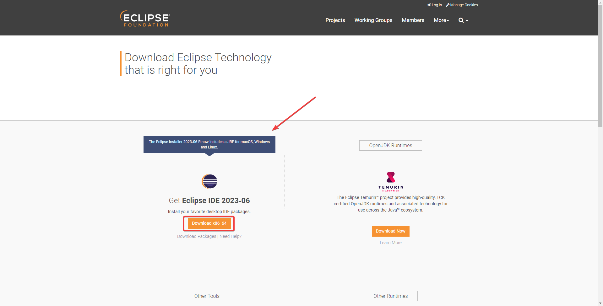 适用于 Windows 11 的 Eclipse：如何下载和安装