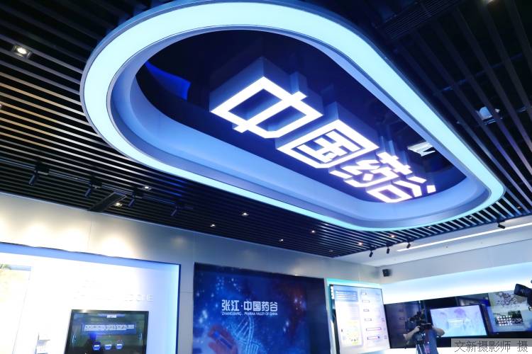 上海魔力:“硅谷+药谷”放大AI制药竞争优势