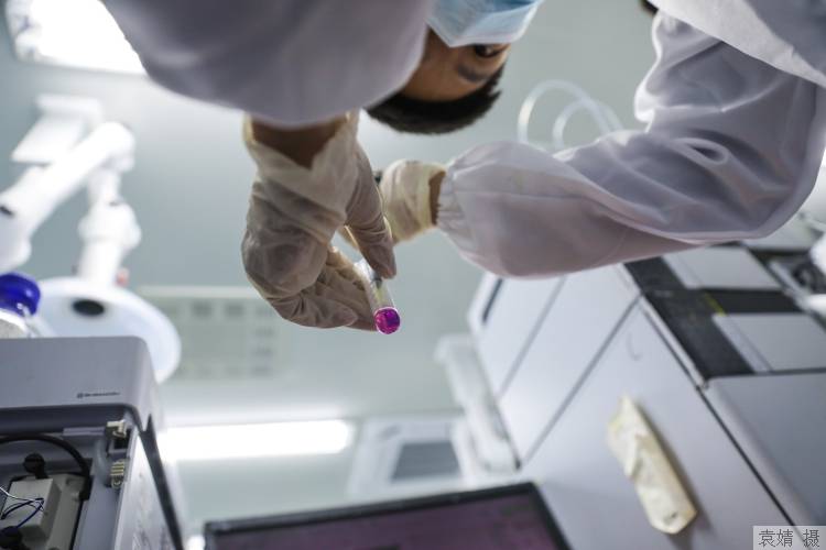 上海魔力：“硅谷+药谷”放大AI制药竞争优势