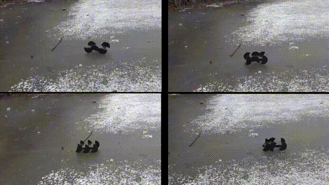 顶刊发表！山东大学李贻斌教授团队研发出简捷高机动轮腿复合式机器人