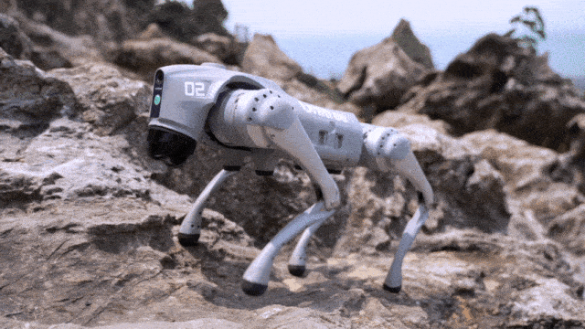 自研4D激光雷达L1 + GPT大语言模型 宇树Unitree Go2四足机器人有啥黑科技？