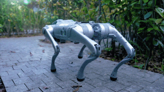 自研4D激光雷达L1 + GPT大语言模型 宇树Unitree Go2四足机器人有啥黑科技？