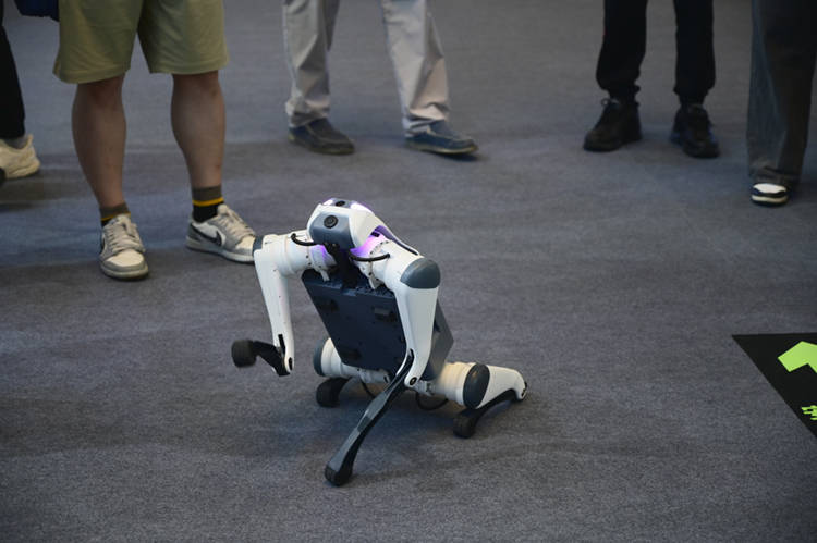 下一波人工智能“浪潮”涌向何处？是什么让马斯克如此看重