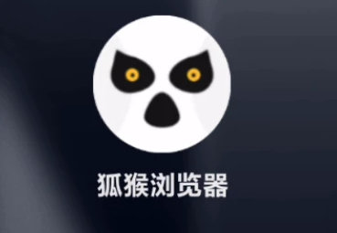 狐猴浏览器怎么使用chatgpt
