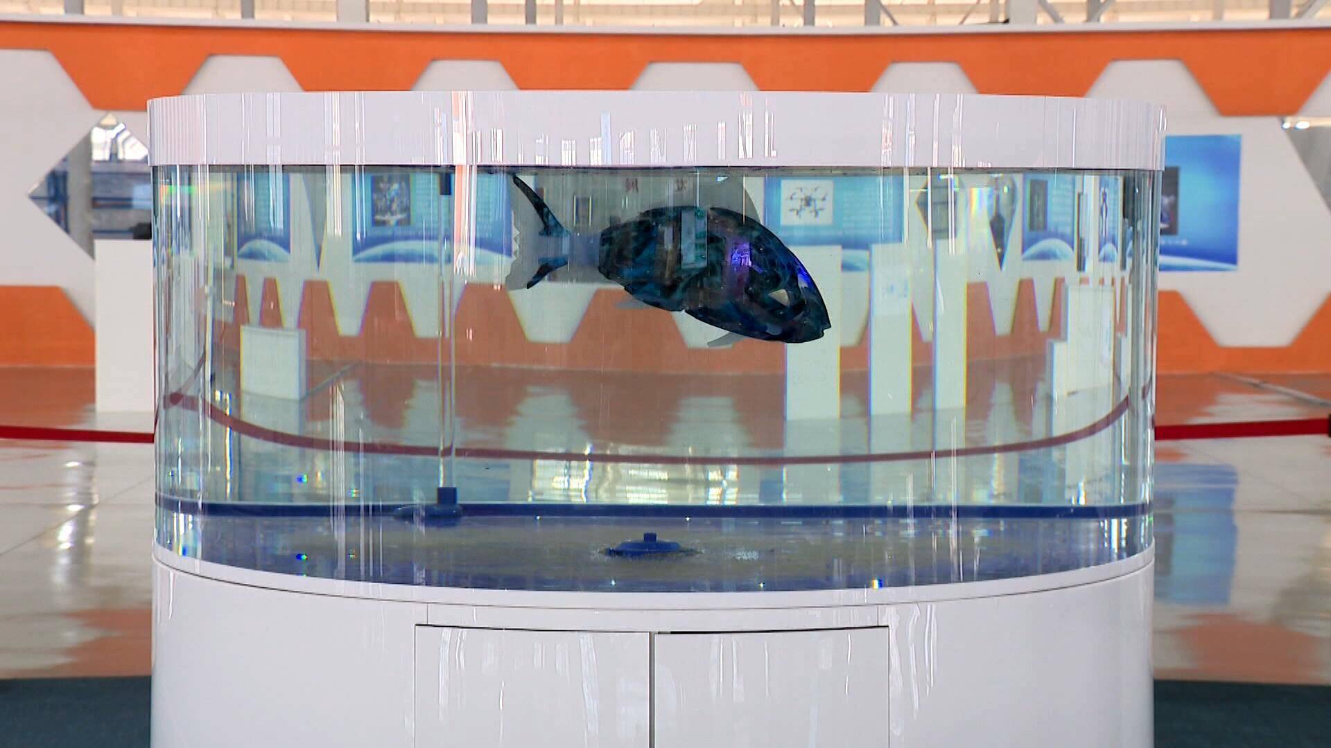 抢占新赛道 加快机器人产业集聚发展