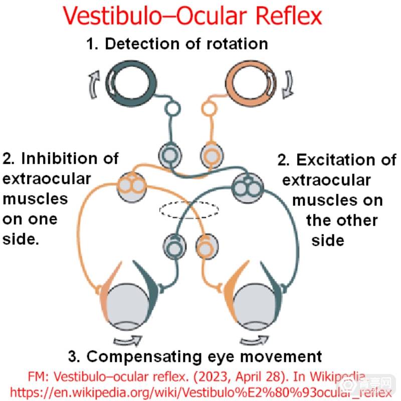 Karl Guttag评Vision Pro(三)：为什么飞机上VR观影体验不佳？