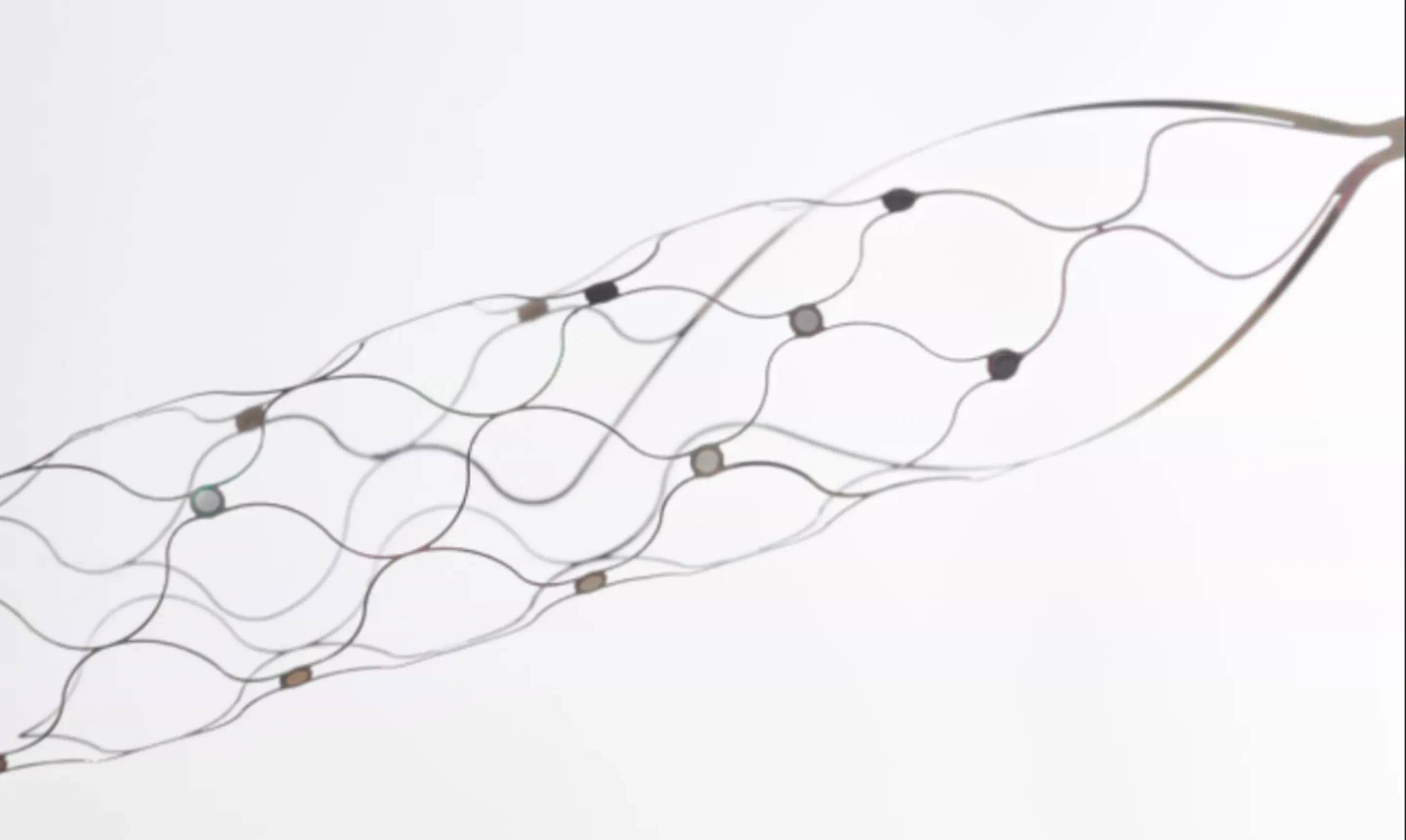 脑机接口新技术详解:血管内植入脑机接口设备“Stentrode”