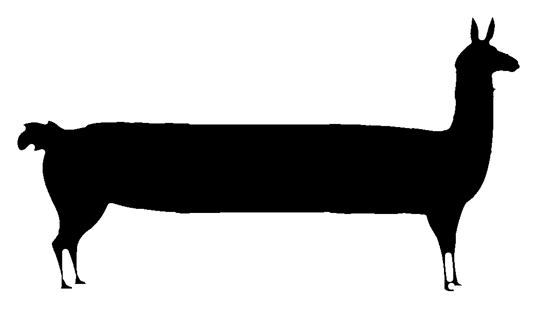 将上下文长度扩展到256k，无限上下文版本的LongLLaMA来了？