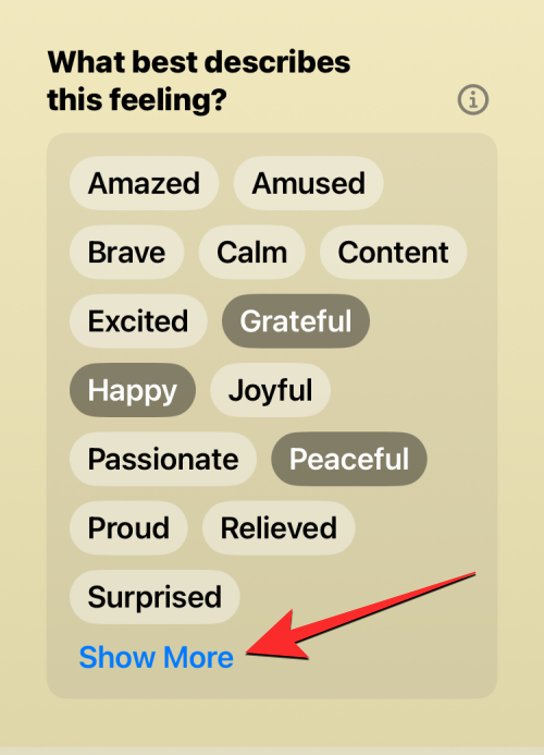 如何在装有iOS 17的iPhone上的健康应用程序上记录您的心态