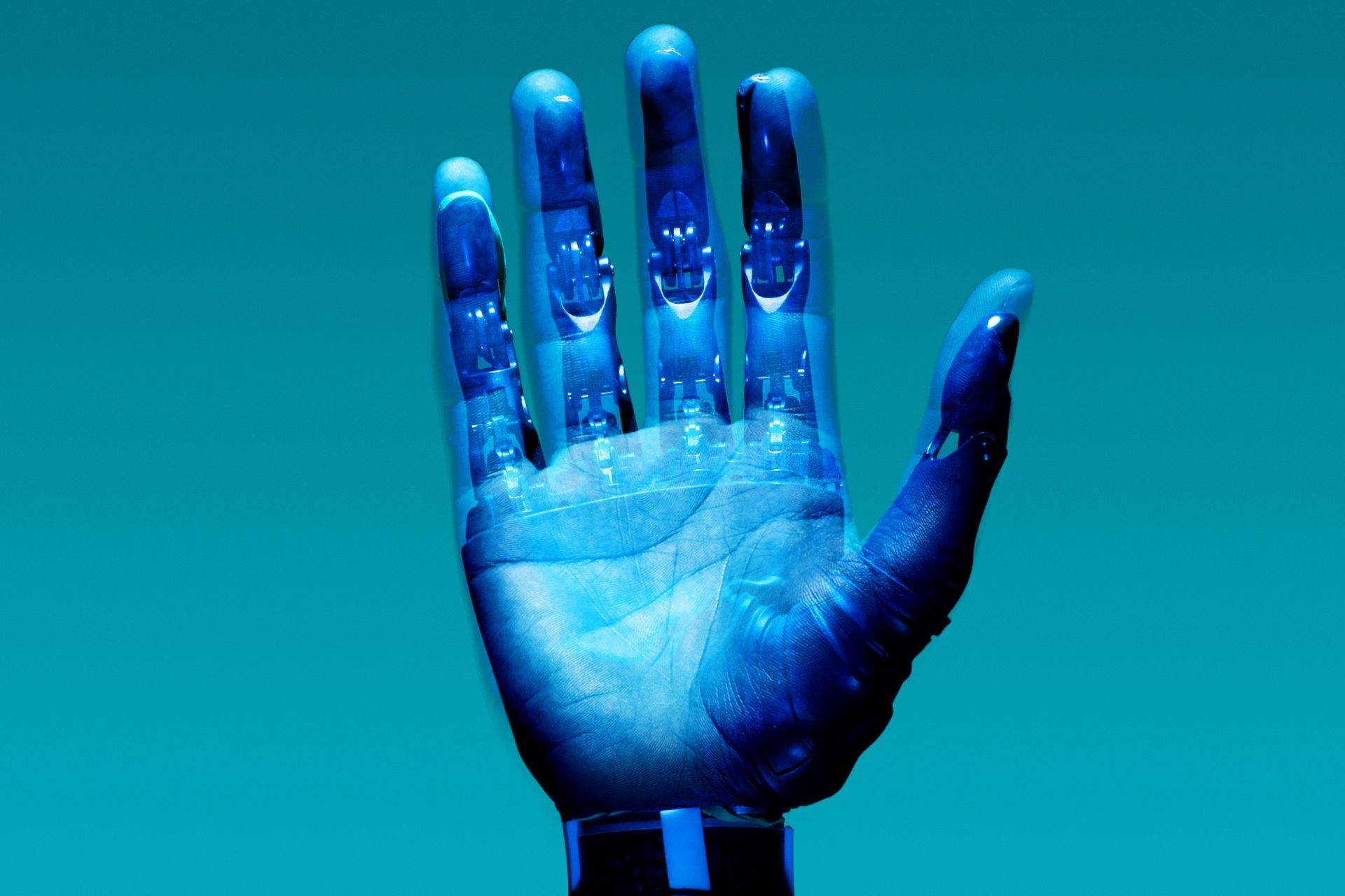 解析人类感知的人工智能系统