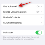 如何在 iOS 17 上设置和使用个人语音