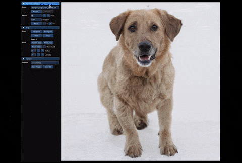 爆火DragGAN正式开源，GitHub近18k星！清华校友带GAN逆袭，大象一秒P转身