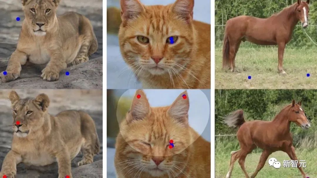 爆火DragGAN正式开源，GitHub近18k星！清华校友带GAN逆袭，大象一秒P转身