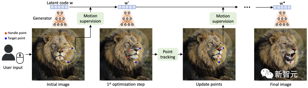 爆火DragGAN正式开源，GitHub近18k星！清华校友带GAN逆袭，大象一秒P转身
