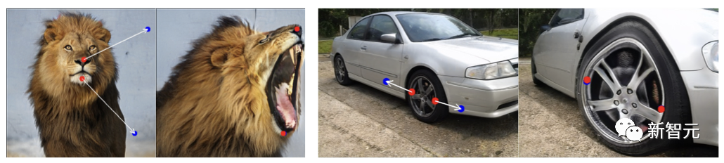 爆火DragGAN正式开源，GitHub近18k星！清华校友带GAN逆袭，大象一秒P转身