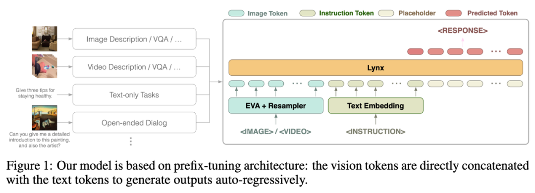 字节团队提出猞猁Lynx模型：多模态LLMs理解认知生成类榜单SoTA