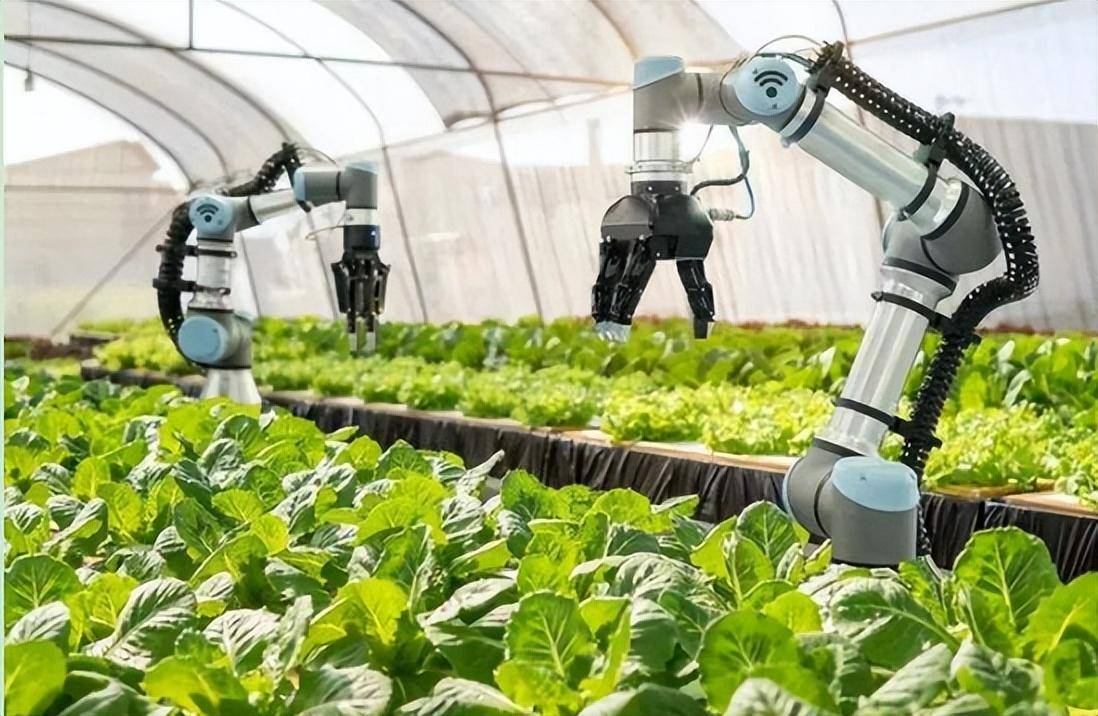 业内：种养结合成为农业主推技术；专家：人工智能是智慧农业新风口