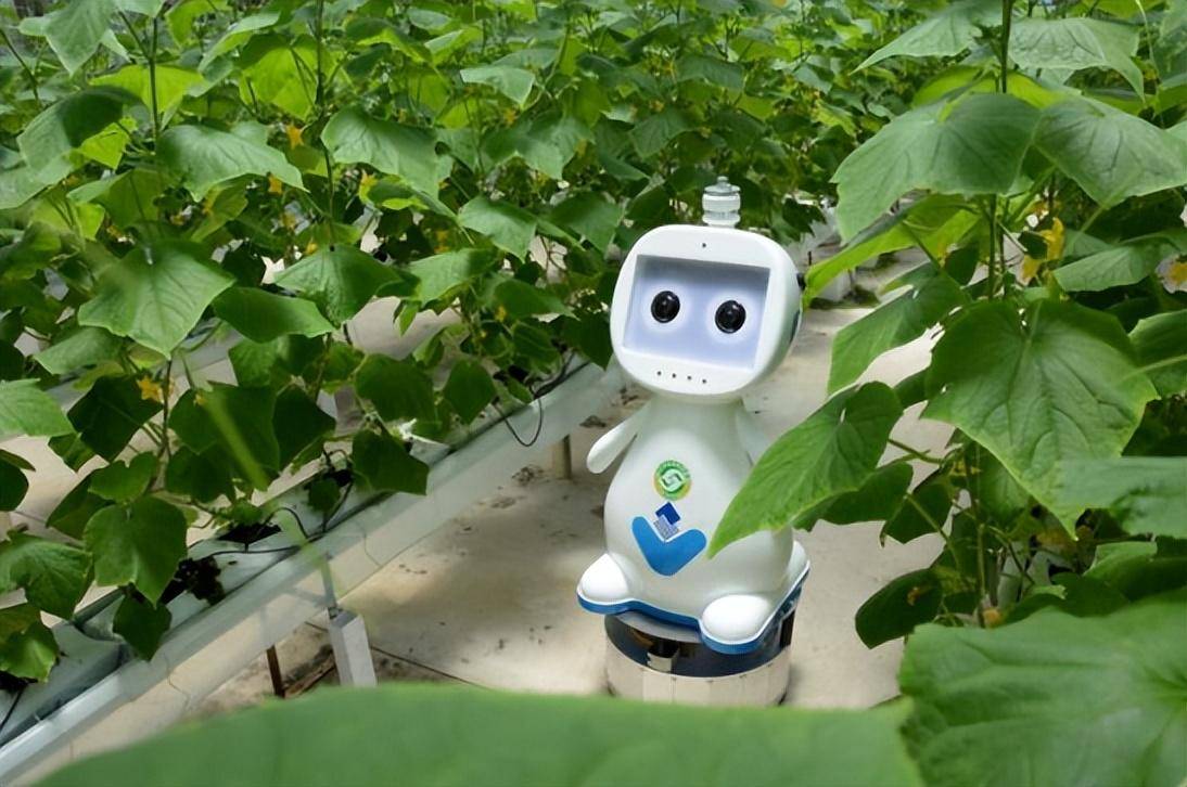 业内：种养结合成为农业主推技术；专家：人工智能是智慧农业新风口