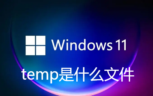 temp是什么文件