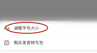 讯飞听见字幕如何调节字体大小