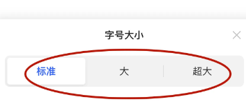 讯飞听见字幕如何调节字体大小