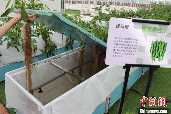 （高质量发展调研行）探访江西南昌元宇宙·VR数字农业示范基地 科技赋能数字农业